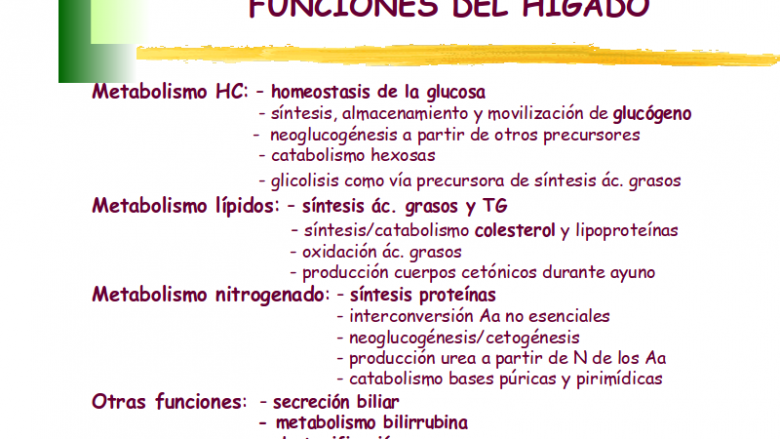 La elevación de transaminasas y la GGT son características de las enfermedades del hígado, sin embargo, las elevaciones aisladas de las transaminasas, en rangos cercanos a la normalidad y con el resto de parámetros bioquímicos hepáticos normales, es uno de los caballos de batalla de la medicina actual.