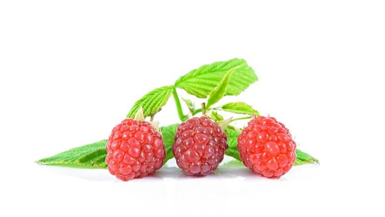 Aquellos que asumen el gran riesgo de restringir determinados alimentos, “ lo más común es que dejen de comer hidratos o que incluso empiecen a alimentarse a base de un único alimento. Algo que provoca una transgresión dietética, una carencia nutricional y por supuesto el posterior efecto rebote”, dice Merino, con “la consiguiente frustración por no poder conseguir mantener el peso, y esa sensación de que se ganan muy rápido y cuestan mucho de perder”, añade Nuria Monfulleda. Lo importante es hacer un cambio de chip y adoptar un nuevo estilo de vida Por eso, si queremos adelgazar de cara al verano, “lo que necesitamos es hacer un cambio de chip, entender que el concepto dieta está obsoleto y que debemos ir más allá. Debemos pensar en un cambio de estilo de vida que nos permita tener un peso saludable todo el año y tener excesos puntuales –como en verano o en Navidad–, ya que de este modo incluso con esos extras mantendremos el peso”, añade esta nutricionista. Además si hacemos dieta, “en cuanto creamos que hemos llegado a nuestro objetivo –si llegamos– dejaremos de hacerla, por el simple hecho de que nos la hemos impuesto, no la hemos hecho porque nos encantaba, y volveremos a nuestros antiguos hábitos –seguramente no tan buenos– y así nunca conseguiremos tener un peso saludable y correcto de por vida”, explica Monfulleda. Las dietas no las hacemos por gusto y cuando las dejamos, volvemos a los malos hábitos” NURIA MONFULLEDA Médica y dietista-nutricionista No obstante hay algunas claves que nos pueden ayudar. “Lo primero es ponerse en manos de un profesional de la salud, como un nutricionista titulado”, dice Marta Abardia. Y en todo caso no esperar al último momento “y empezar con algunos meses de antelación”, opina Bennett. Para poder bajar de peso sin riesgos para el organismo hay que seguir una dieta variada basada en “verduras, ensaladas, frutas. Las legumbres son fabulosas ya que contienen hidratos de carbono de absorción lenta por tanto, tardaremos más tiempo en volver a tener hambre y también tienen mucha fibra. Consumir carnes magras como pollo, pavo, conejo, pescado y huevos”, dice Abardia Para beber, si optamos por bebidas vegetales de soja, avena, o almendras, “hay que comprobar que también estén enriquecidas con vitamina D, calcio y que no tengan azúcares añadidos. Hay que evitar los refrescos azucarados y beber sobre todo agua e infusiones”, añade esta profesional de la nutrición. También hay que eliminar los embutidos. Una alimentación basada en productos de origen vegetal como verduras, frutas, cereales, legumbres y frutos secos siempre será la opción más saludable (YinYang / Getty) A veces apetece algo dulce y tampoco hay porque privarse, ya que es absolutamente compatible con adelgazar. “Eliminar los alimentos azucarados como los dulces, la pastelería, o las galletas es imprescindible, pero se puede comer una o dos onzas de chocolate negro del 75% o más”. Tampoco hay que “saltarse comidas, ya que más tarde tendremos mucho hambre y comeremos lo primero que encontremos concluye”, Abardia. De todas formas, los remolones que quieran acelerar la pérdida de peso ante la inminencia de las vacaciones pero sin poner en riesgo su salud deberían “asegurar una ración de vegetales en cada comida y en cada cena, que debe estar compuesta de 200 gramos mínimo –nada de una hoja de lechuga con la hamburguesa–, y siempre en el doble de proporción que proteínas y cereales”, explica María Merino. Los alimentos integrales sacian más, calman la ansiedad y evitan el picoteo También es importante no pasar hambre, “para lo cual podemos pasarnos a los alimentos integrales, que sacian más y nos permiten llegar a la siguiente ingesta con menos apetito, además de calmar la ansiedad y evitar el picoteo. Añadir un puñado de frutos secos por el mismo motivo, también es de gran ayuda”, añade. La fruta, mejor entera, tres piezas al día, y nada de zumos, batidos o smoothies. Como ya se ha dicho, es básico tener el agua como bebida principal, beberla de forma abundante, y en todo caso “darle sabor de forma casera”, dice Merino. Estructurar bien las comidas, aunque ello implique comer seis veces al día, planificar y organizar el menú, practicar el batch cooking –cocinar una tarde para comer toda la semana–, son cosas que nos ayudarán a comer sano y perder peso, en opinión de todas las expertas consultadas. Además de comer bien es imprescindible la práctica de actividad física Y por último, tener presente que aunque cambiemos nuestros hábitos y comamos más sano, para adelgazar también es muy importante hacer alguna actividad física. Podemos hacer running, aunque haga frío, pues al correr ya entraremos en calor. O, si no nos apetece, hacer bicicleta estática en casa. Subir a pie y olvidarse del ascensor es otra alternativa. No hay ninguna excusa para no moverse. Aunque quizás el mejor consejo de todos sea el de no cometer excesos durante, precisamente, el verano, pues suele ser habitual que tengamos “pocas ganas de volver a hacer dieta en setiembre. Con la depresión post-vacacional, el inicio de la rutina de trabajo-cole-niños-invierno, ya si acaso decidimos que empezamos pasado fiestas. Y así, año tras año, cogemos unos kilos en verano porque nos pasamos haciendo “extras”. Antes de acometer cualquier pérdida de peso es imprescindible ponerse en manos de un especialista titulado en nutrición (Roser Vilallonga) Unos kilos que no nos apetece nada quitarnos en otoño y que mantenemos hasta Navidad y entre turrones y polvorones,nos plantamos en la horrible cuesta de enero. Y luego claro cuesta volver a ponerse un poco serio, porque la cuesta de enero es muy dura y entre una cosa y otra llega abril, el buen tiempo, la necesidad de llevar ropa de verano, y vuelta a empezar”, reflexiona Monfulleda. Para acabar, la doctora Nuria Monfulleda recuerda que “no hay nada externo que nos adelgace. Nada. Absolutamente nada. Así que, o ponemos de nuestra parte y nos esforzamos o mejor dejamos de hacer estupideces que sólo hacen que dañar a nuestro cuerpo y aceptamos nuestro peso tal cual es fruto de nuestras decisiones y hábitos alimentarios”. Si queremos estar bien el verano del año que viene, pensemos en no cometer excesos estas vacaciones Te puede interesar Seis pasos decisivos para superar una separación con hijos Cómo aliviar el dolor de las manos causado por el móvil y el ratón Consejos zen para que limpiar la casa resulte más agradable y alivie tu estrés Por qué la infidelidad castiga más a las mujeres que a los hombres No, ya no hace falta pasar hambre para hacerte una colonoscopia > Contenido patrocinado Diez consejos para ser más educado en la red Cómo saber si estás inmerso en una relación tóxica Pestañas y uñas postizas: Los dermatólogos advierten del peligro de estos tratamientos Sí, ser tímido también tiene sus ventajas; sácales partido recomendado por > Otras noticias No, ya no hace falta pasar hambre para hacerte una colonoscopia Los imprescindibles para ponerse en forma en casa La pareja de la asesinada en Xàtiva dice que la mujer ejercía la prostitución Infidelidades: Por qué la infidelidad castiga más a las mujeres que a los hombres El COI confirma el dopaje de Shuklin y Benavides será bronce en Londres 2012 MundoDeportivo.com El Bidasoa hace frente al canon y continúa optando a jugar la Champions MundoDeportivo.com Normas de participación Últimas noticias El romance de Rivera y Malú protagoniza el quiosco rosa La vida en tres dimensiones Declaración de la Renta: ¿sabes cuánto tributan tus ahorros? El pleno de la última lágrima El mensaje de Kevin Durant tras ser operado Uber anuncia la puesta en marcha del primer helitaxi compartido