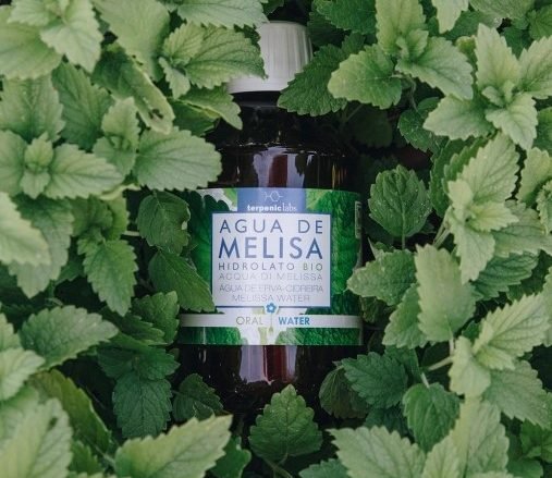 TERPENIC LABS Hidrolato de Melisa. Antiinflamatorio, antiespasmódico, calmante y relajante. Contribuirá a calmar los espasmos digestivos,  relajar, combatir el estrés y favorecer el sueño.