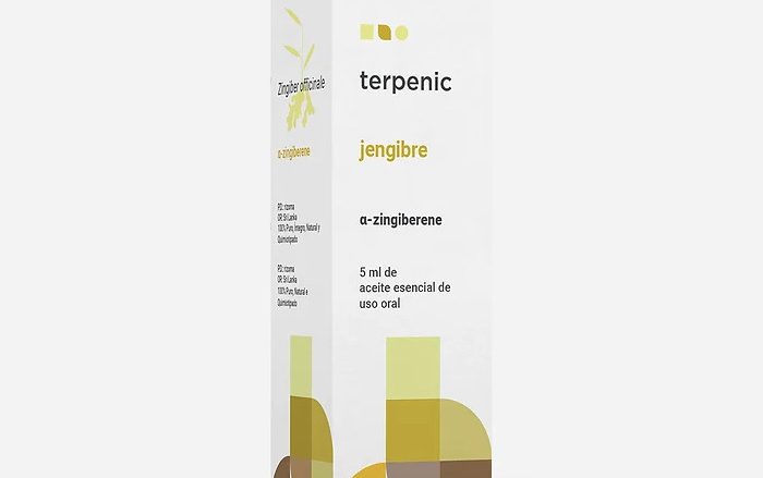 TERPENIC LABS ae jengibre