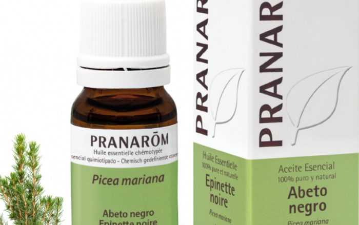 Laboratorio Pranarôm aromaterapia científica Abeto negro - 10 ml Picea mariana