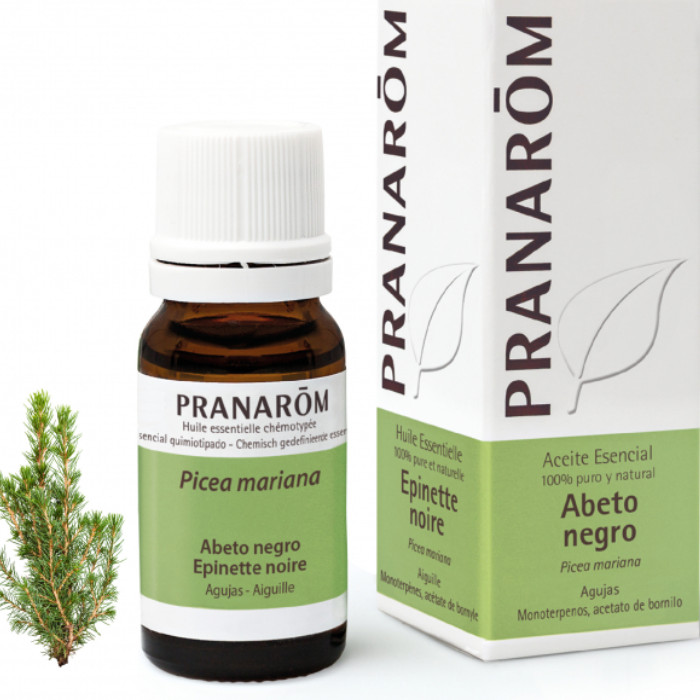 Laboratorio Pranarôm aromaterapia científica Abeto negro - 10 ml Picea mariana