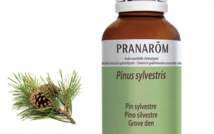 Laboratorio Pranarôm aromaterapia científica Pino silvestre - 30 ml Pinus sylvestris