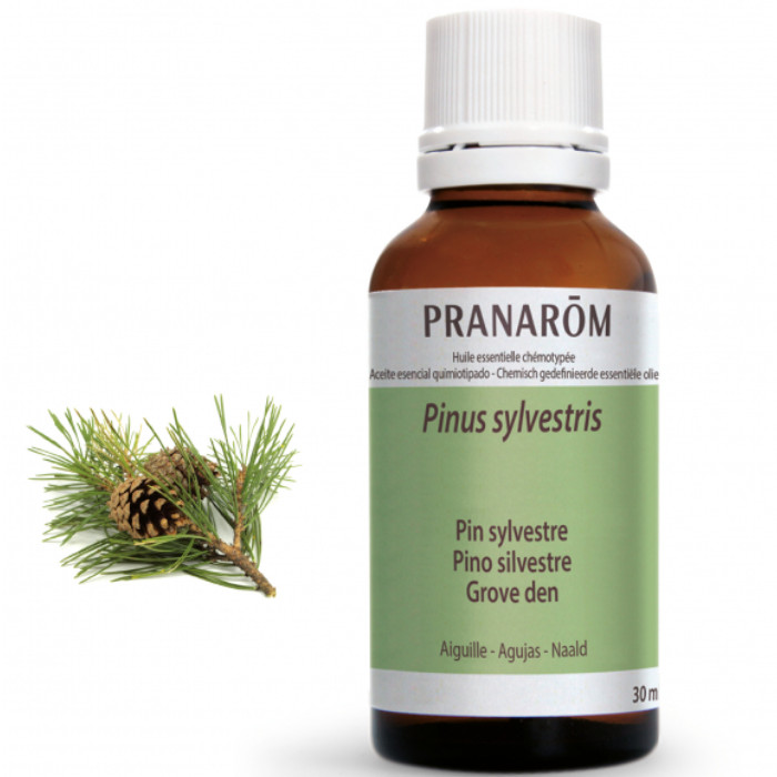 Laboratorio Pranarôm aromaterapia científica Pino silvestre - 30 ml Pinus sylvestris