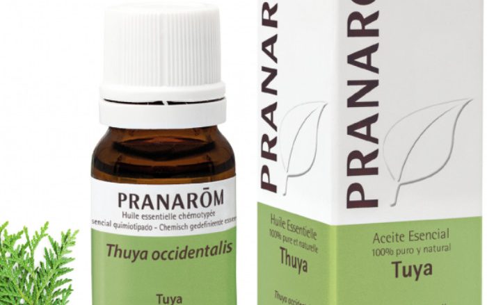 Laboratorio Pranarôm aromaterapia científica Tuya - 10 ml Thuya occidentalis