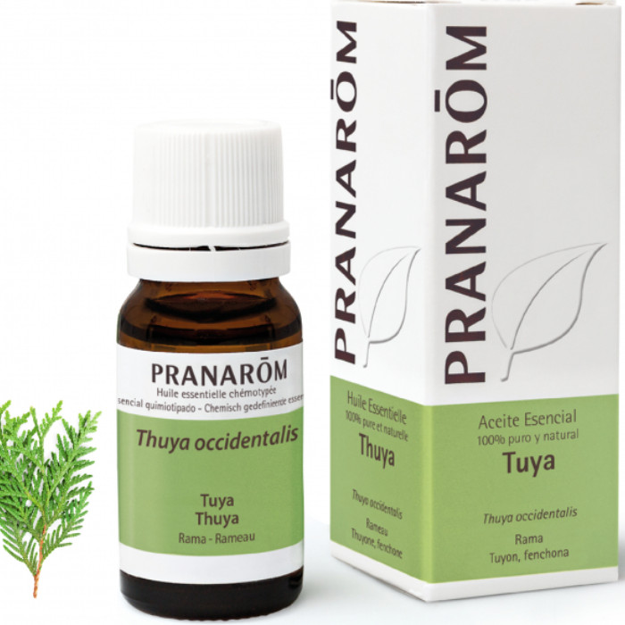 Laboratorio Pranarôm aromaterapia científica Tuya - 10 ml Thuya occidentalis