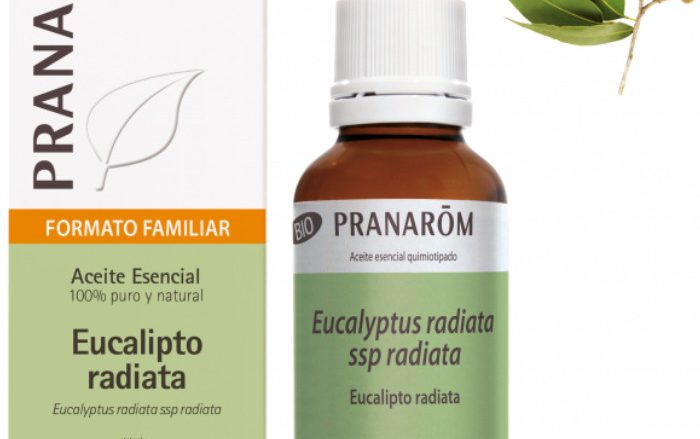 Laboratorio Pranarôm aromaterapia científica Eucalipto radiata - 30 ml Eucalyptus radiata ssp radiata