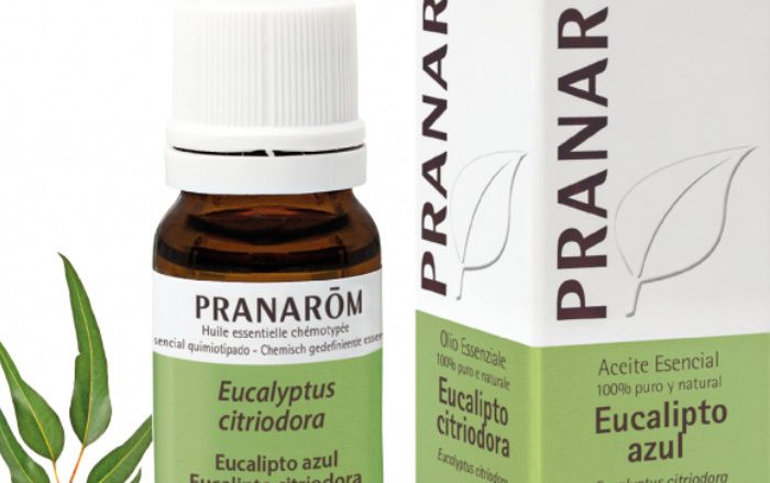 Laboratorio Pranarôm aromaterapia científica Eucalipto azul - 10 ml Eucalyptus citriodora