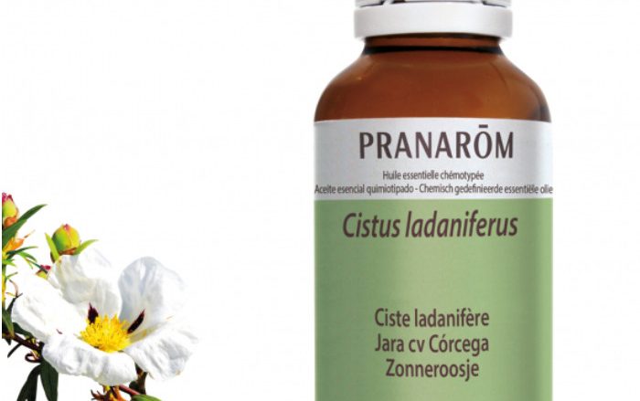 Laboratorio Pranarôm aromaterapia científica Jara cv Córcega - 30 ml Cistus ladaniferus