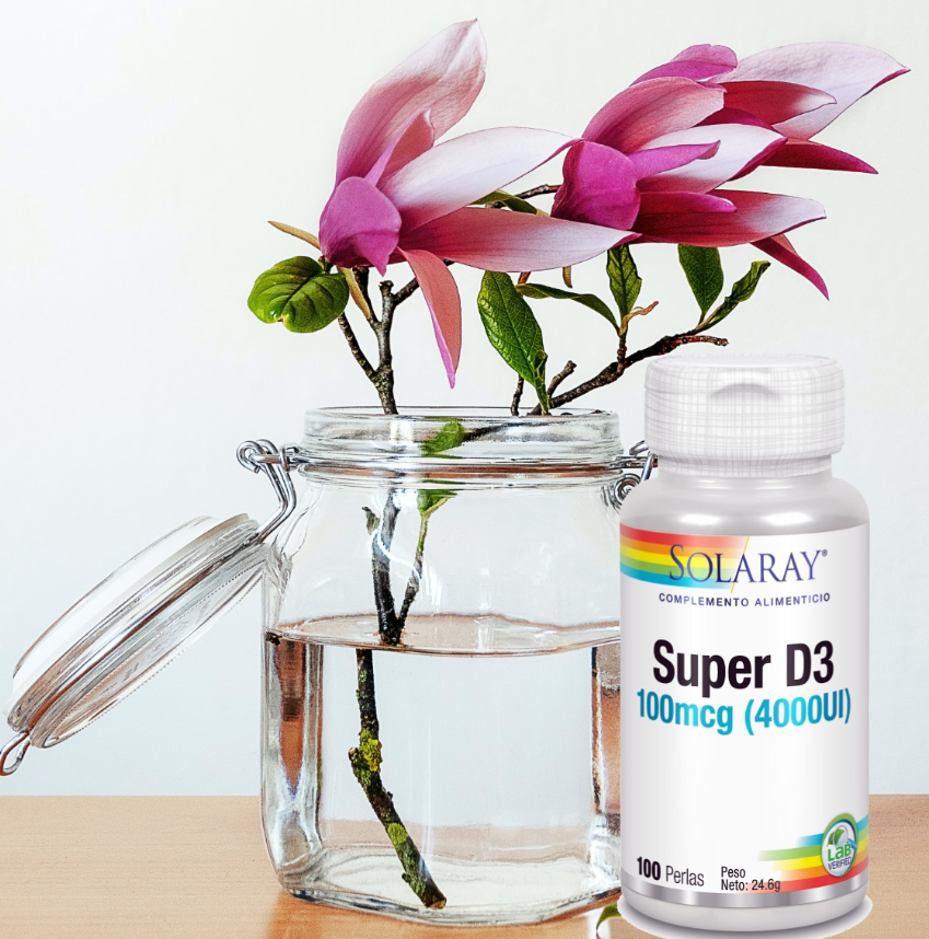 Comprar SOLARAY D3 100 mcg en GRAN FARMACIA ANDORRA. Las últimas investigaciones nos muestran cómo una gran cantidad de personas que vienen de latitudes medias altas tiene unos niveles de vitamina D poco adecuados entre los meses de octubre y abril. Durante el mes de marzo, es cuando los niveles de vitamina D pueden llegar a ser más bajos. La vitamina D puede ser sintetizada por el organismo por la acción de los rayos ultravioleta (UV-B) del sol. Las condiciones para que esta producción sea eficaz son reducidas en las regiones templadas del hemisferio norte debido al ángulo de elevación del sol y de la meteorología en estas estaciones, pero también por nuestro estilo de vida urbano: en estos meses no salimos lo suficiente y además lo hacemos demasiado tapados para que la producción de vitamina D pueda suceder. A pesar del debate sobre a partir de qué tasa sanguínea de vitamina D ya se observan los beneficios, se cree que tasas superiores a 50 nmol/ml hasta 75 nmol/ml serían las óptimas para la salud general. Al contrario, las tasas inferiores a 30 nmol/ml se asocian a efectos nefastos para la salud. Como la vitamina D es liposoluble, el organismo la puede almacenar en las grasas cuando los aportes son superiores a las necesidades de esta vitamina.