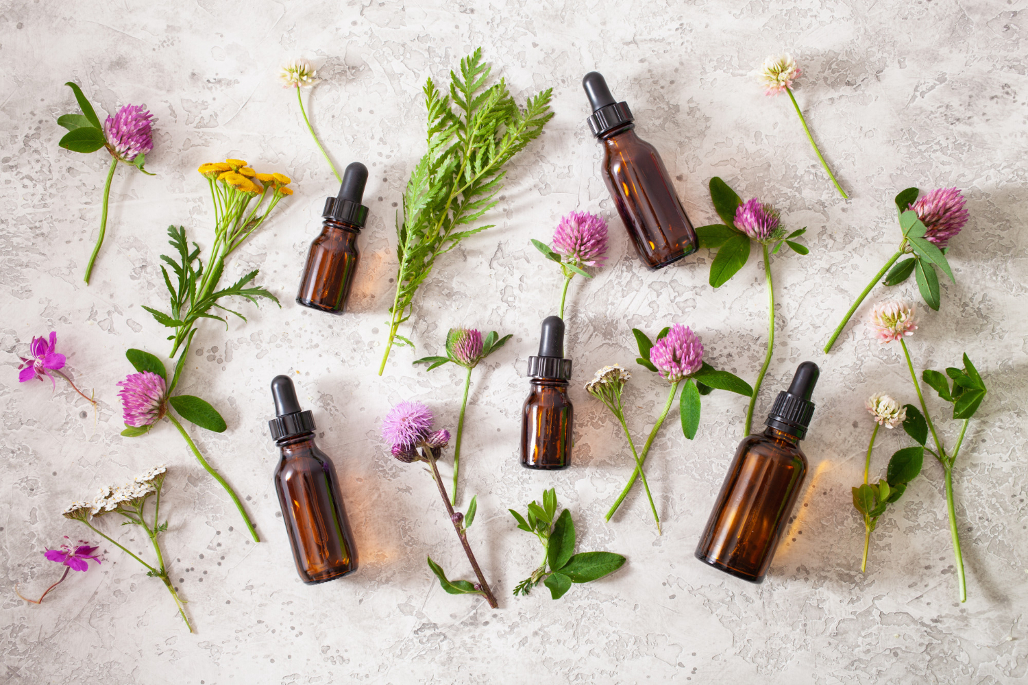 Aquí tens una relació de 40 olis essencials amb una descripció breu i útil en català. 1–10 Llavanda (Lavandula angustifolia) Oli molt versàtil, calmant i equilibrant, ajuda a relaxar, millorar el son i calmar irritacions lleus de la pell. Arbre del te (Melaleuca alternifolia) Potent purificant i antimicrobià, molt usat per a pells grasses, acne i petites infeccions superficials. Eucaliptus (Eucalyptus globulus/radiata) Ajuda a descongestionar les vies respiratòries, refrescant i clarificador; ideal en difusor en èpoques de refredats. Llimona (Citrus limon) Tònic i revitalitzant, amb aroma fresc; s’utilitza per donar energia, netejar l’ambient i en cosmètica purificant. Taronja dolça (Citrus sinensis) Relaxant suau i alegre, ajuda a millorar l’ànim i crear ambients acollidors; molt agradable en difusió ambiental. Menta piperita (Mentha x piperita) Molt refrescant i estimulant; s’utilitza per aclarir la ment, alleujar sensació de fatiga i com a suport digestiu (sempre ben diluïda). Camamilla romana (Chamaemelum nobile) Calmant i antiinflamatòria, indicada per a pells sensibles, irritacions lleus i per afavorir la relaxació i el descans. Ravintsara (Cinnamomum camphora CT cineol) Moltes vegades usada com a suport en defenses i respiració; ajuda a enfortir l’organisme en temporades de virus. Timó (Thymus vulgaris) Antimicrobià potent, s’utilitza en sinergies per a suport respiratori i defenses; cal usar-lo sempre molt ben diluït. Romaní (Rosmarinus officinalis) Estimulant circulatori i mental, ajuda a la concentració i se sol utilitzar en massatges per a músculs cansats. 11–20 Farigola (Thymus zygis/Thymus serpyllum) Purificant i tònic, tradicionalment utilitzada com a suport respiratori i per donar energia en moments de cansament. Gerani (Pelargonium graveolens) Equilibrant cutani i emocional, molt apreciat per a pells mixtes/madures i per crear perfums florals harmonitzants. Ylang-ylang (Cananga odorata) Oli floral intens, relaxant i sensual; ajuda a calmar l’estrès i s’utilitza en cosmètica capil·lar i perfumeria. Encens (Boswellia carterii) Amb aroma profund i meditatiu; es valora per propietats regeneradores de la pell i per afavorir calma i recolliment. Sàlvia esclarea (Salvia sclarea) Reguladora i relaxant, sovint usada en sinergies per a benestar femení i per calmar tensió muscular i nerviosa. Petitgrain (Citrus aurantium ssp. amara, fulla/branques) Aroma fresc i verd, relaxant però alhora clarificador; molt utilitzat per a estrès i nervis, i en perfumeria natural. Neroli (Citrus aurantium ssp. amara, flor de taronger amarg) Floral fi i exquisit, molt valorat per a pells sensibles i madures, i per equilibrar emocions com l’ansietat suau. Bergamota (Citrus bergamia) Cítric elegant, uplifting, afavoreix bon humor i relax; s’utilitza en perfums frescos i per harmonitzar l’estat d’ànim. Canyella escorça (Cinnamomum verum) Aromàtic, càlid i molt intens; s’utilitza en sinergies molt diluïdes per estimular i perfumar, mai de forma extensa sobre la pell. Clau d’espècia (Syzygium aromaticum) Molt concentrat i calent, tradicionalment associat a propietats antimicrobianes; s’utilitza només en dosis molt baixes i localitzades. 21–30 Jengibre (Zingiber officinale) Escalfant i estimulant; se sol aplicar en massatges (ben diluït) per a musculatura i com a suport en sensació de fred i cansament. Llimona verda – lime (Citrus aurantiifolia) Cítric molt refrescant i alegre, ideal per a difusió en espais vitals i per donar un toc viu a sinergies aromàtiques. Pamplemussa / aranja (Citrus paradisi) Aroma lleuger i optimista; sovint usat en sinergies “detox” i per a sensació de lleugeresa corporal (sempre diluït). Mandarina (Citrus reticulata) Dulce i calmant, indicada per a moments de nervis, especialment en nens i adults que busquen relax suau. Pi silvestre (Pinus sylvestris) Aroma de bosc fresc; dóna sensació d’aire net i sovint s’empra en difusió per a espais carregats o com a suport respiratori. Cedre de l’Atles (Cedrus atlantica) Oli de base, amb aroma fustós; associat a arrelament i estabilitat, molt usat en barbes, cabell gras i perfums masculins. Vetiver (Vetiveria zizanoides) Terros i profund, molt ancorador; ideal per a sinergies relaxants i per donar persistència en perfumeria. Pachuli (Pogostemon cablin) Aroma terrós i sensual; utilitzat en perfumeria natural, per a pells amb tendència a greix o congestió i per a relaxació. Rosa damascena (Rosa damascena) Un dels olis més preuats; molt indicat per a pells madures i seques, i per a treball emocional de dol, autoestima i obertura del cor. Gessamí (Jasminum grandiflorum/officinale) Floral intens, molt sensual i euforitzant; s’utilitza en perfums, suport emocional i per donar un toc luxós a cosmètica. 31–40 Camamilla blava/alemanya (Matricaria recutita) Antiinflamatòria destacada, molt utilitzada per a pells irritades, vermellors i cosmètica calmant. Helicrís (Helichrysum italicum) Conegut com a “sempreviva”; apreciat en fórmules per a cops, blaus i pell madura, per la seva acció regeneradora. Llorer (Laurus nobilis) Tònic mental i respiratori; s’utilitza en sinergies per claredat mental i per donar força i confiança. Ciprer (Cupressus sempervirens) Relacionat amb circulació i sensació de cames cansades; també s’usa a nivell emocional per aportar estabilitat. Sàndal (Santalum sp.) Fustós, suau i profund; molt valorat en meditació, perfumeria i cures de la pell seca o madura. Benjuí (Styrax benzoin) Resinós, dolç i envoltant; aporta sensació de protecció, s’utilitza en pells seques i en sinergies confortants. Mirra (Commiphora myrrha) Resina sagrada en moltes tradicions; usada en preparats per a pell madura i com a oli de recolliment espiritual. Litsea cubeba / May Chang (Litsea cubeba) Cítric molt aromàtic, vivificant i net; ideal per perfumar espais, sinergies purificants i productes de bany. Ravintsara d’eucaliptus llimona – Eucaliptus llimona (Eucalyptus citriodora) Combina to refrescant i lleugerament cítric; s’empra per ambients nets, benestar articular i repel·lent d’insectes. Orenga (Origanum compactum/vulgare) Molt potent com a antimicrobià, reservat a usos molt concrets i sempre en dilucions altes; no apte per a ús cosmètic general.