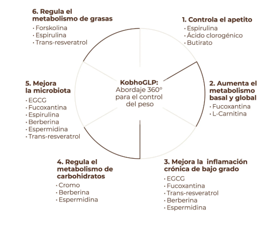 Comprar KobhoGLP en Gran Farmacia Andorra. ¿POR QUÉ KobhoGLP FUNCIONA? KobhoGLP es el primer protocolo avanzado para la pérdida de peso con un enfoque 360º, que estimula de forma fisiológica las vías relacionadas con la hormona reguladora del apetito, optimiza el metabolismo y mejora la composición corporal. El primer protocolo avanzado para el control del peso que actúa sobre todos los pilares. Ayuda a equilibrar los niveles de azúcar en sangre, a aumentar el metabolismo basal y a regular el metabolismo de grasas y carbohidratos. Además, favorece vías relacionadas con la hormona que regula el apetito, una hormona clave en la regulación natural de la saciedad, ayudando a reducir los antojos y a mantener una saciedad más prolongada. Todo ello mientras mejora la microbiota y reduce la inflamación, favoreciendo cambios eficaces, saludables y sostenidos en el tiempo, sin efecto rebote. 90 cápsulas + 30 viales (suministro para 1 mes). 3 cápsulas y 1 vial (sabor maracuyá) al día. Juntos al inicio de una comida. Se recomienda tomar con algún alimento graso –frutos secos– para una mejor absorción. Todos los días. Fabricado en España.